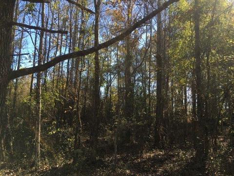 20655 Highway 27, Utica, MS 39175 photo 40