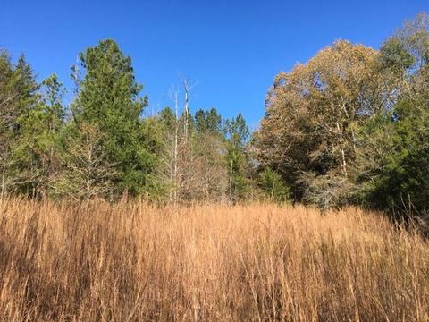 20655 Highway 27, Utica, MS 39175 photo 23