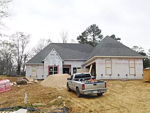 110 Dunleith Way, Clinton, MS 39056 photo 1