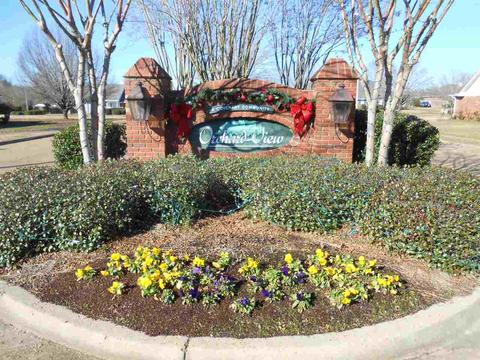 1404 Concord Pl, Brandon, MS 39042 photo 2