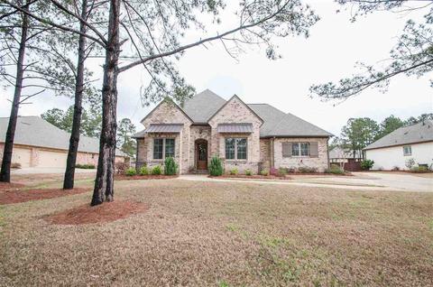110 Carrington Dr, Madison, MS 39110 photo 1