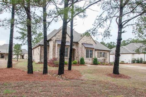 110 Carrington Dr, Madison, MS 39110 photo 3