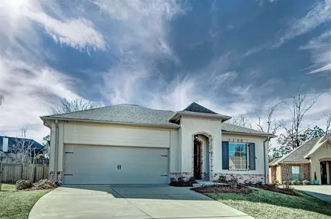 541 Willow Valley Cir, Brandon, MS 39047 photo 1