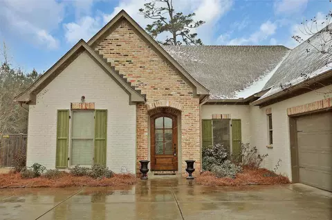 264 Bellamy Ct, Flowood, MS 39232 photo 2