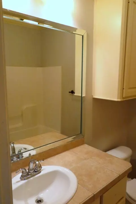 421 Mainsail Way, Brandon, MS 39047 photo 36