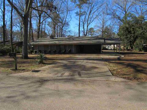 115 Harbor Pl, Brandon, MS 39047 photo 30