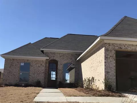 807 Emmas Way, Brandon, MS 39042 photo 1