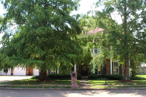 231 Northwind Dr, Brandon, MS 39047 photo 1