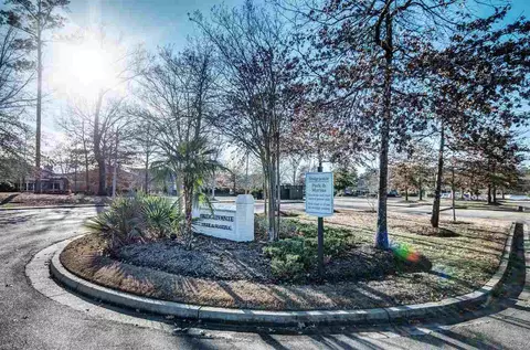 118 Bridgepointe Blvd, Brandon, MS 39047 photo 47