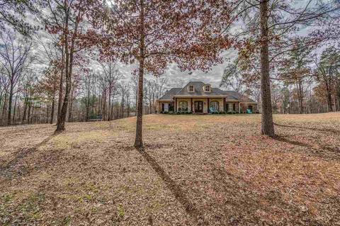 401 Danielle Cv, Brandon, MS 39042 photo 8