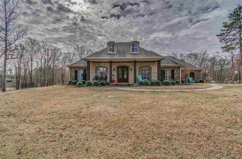 401 Danielle Cv, Brandon, MS 39042 photo 1