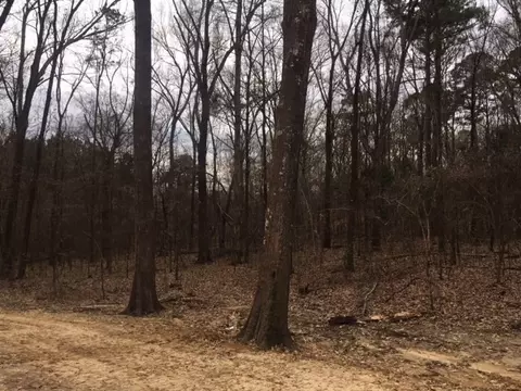 152 Mount Helm Rd, Brandon, MS 39047 photo 27