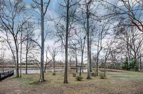 110 Thornberry Cv, Madison, MS 39110 photo 49