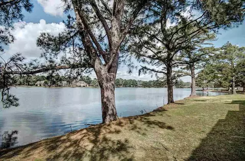 166 Lakebend Cir #166, Brandon, MS 39042 photo 5