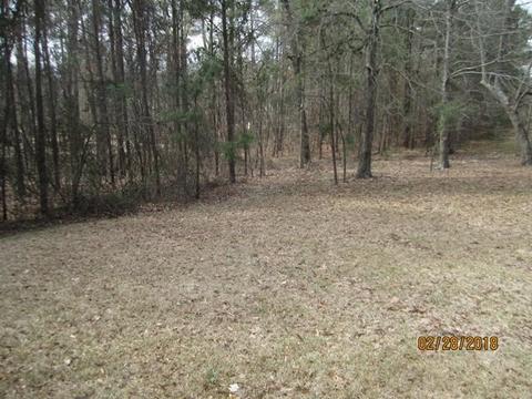105 Redbud Dr, Brandon, MS 39047 photo 38