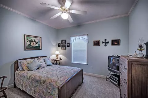 138 Springtree Dr, Brandon, MS 39042 photo 34