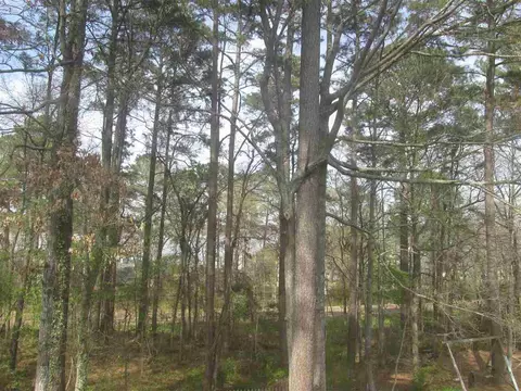 552 Cliffview Dr, Brandon, MS 39047 photo 37