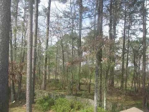 552 Cliffview Dr, Brandon, MS 39047 photo 38