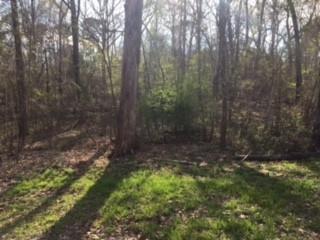 103 Mickie Dr, Brandon, MS 39042 photo 25