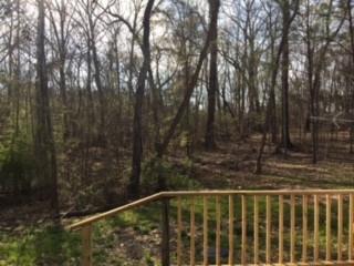 103 Mickie Dr, Brandon, MS 39042 photo 24