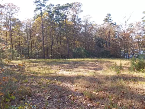 1086 Daffodil Ln, Summit, MS 39666 photo 6