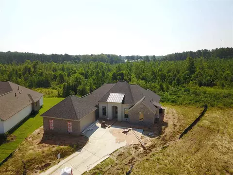 306 Bristlecone Ct, Flowood, MS 39232 photo 1