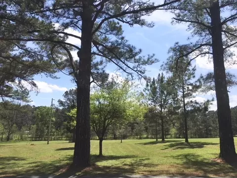 877 Trickham Bridge Rd, Brandon, MS 39042 photo 2