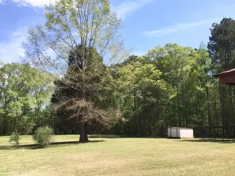 877 Trickham Bridge Rd, Brandon, MS 39042 photo 3