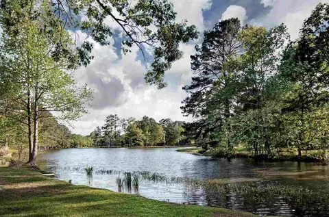 101 Easthaven Cir, Brandon, MS 39042 photo 45