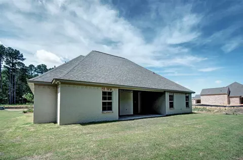 310 River Forest Ln, Brandon, MS 39047 photo 4