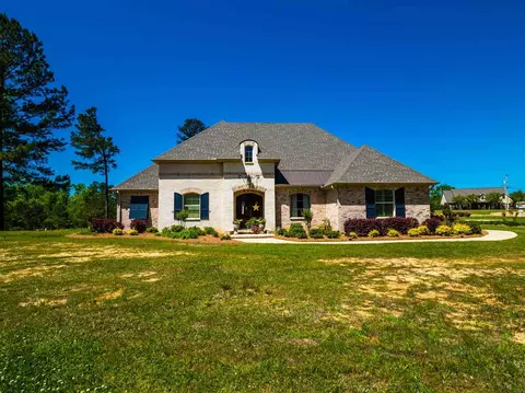 245 Landmark Cv, Brandon, MS 39042 photo 1