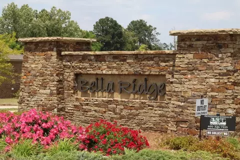 226 Bellamy Ct, Flowood, MS 39232 photo 2