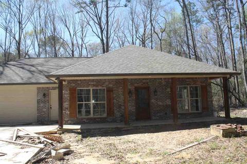 542 Star Braxton Rd, Braxton, MS 39044 photo 24