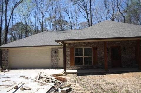542 Star Braxton Rd, Braxton, MS 39044 photo 3