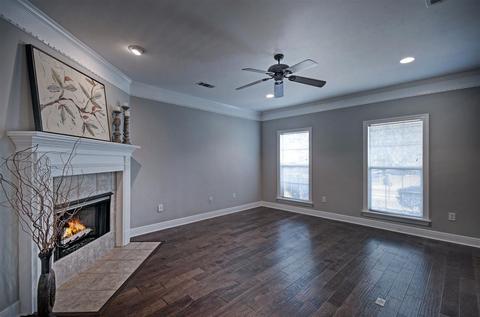 374 Avalon Way, Brandon, MS 39047 photo 5