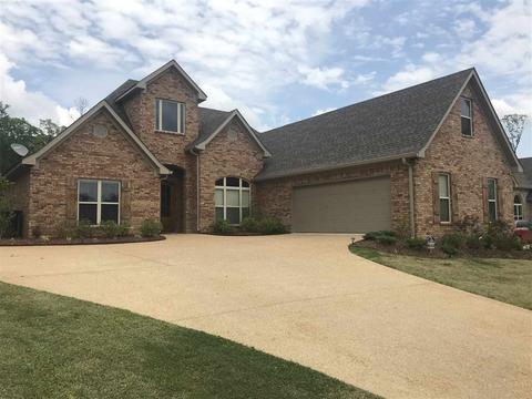 631 Prosperity Pl, Brandon, MS 39042 photo 1