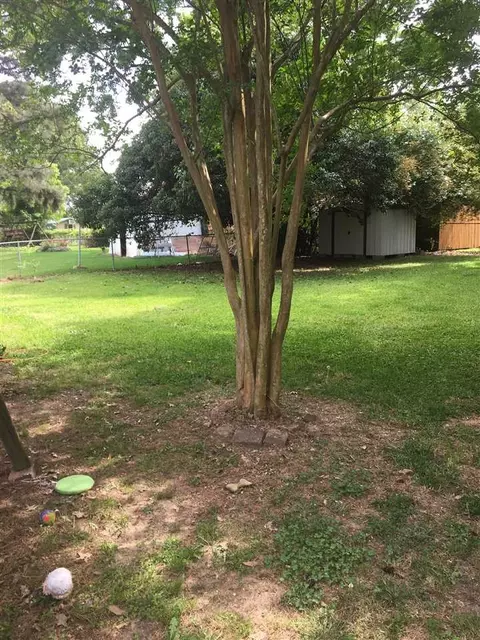 445 Cedar Bluff Trl, Madison, MS 39110 photo 27