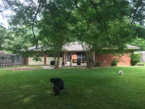 445 Cedar Bluff Trl, Madison, MS 39110 photo 31