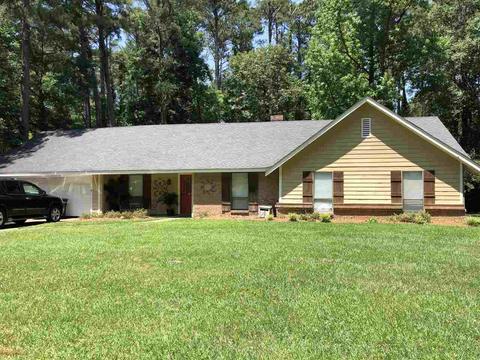 531 Camelia Trl, Brandon, MS 39047 photo 1
