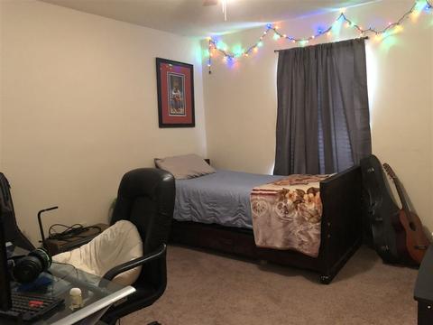 531 Camelia Trl, Brandon, MS 39047 photo 20