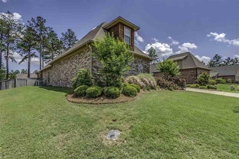 113 Pinnacle Cv, Madison, MS 39110 photo 6