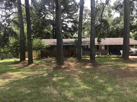 163 Mackey Dr, Madison, MS 39110 photo 1
