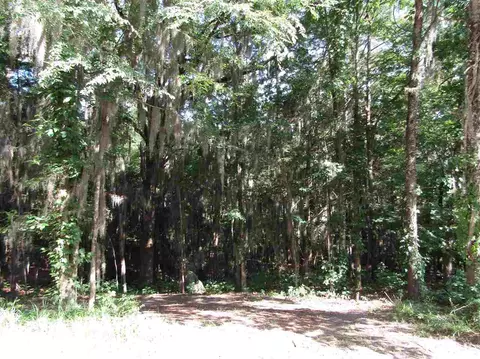 341 Abernathy Rd, Flora, MS 39071 photo 41