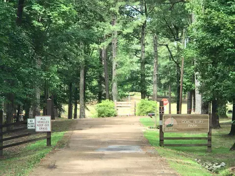 759 Coal Bluff Rd, Lena, MS 39094 photo 7