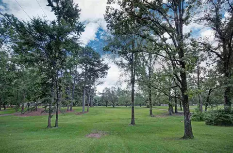 1470 Davis Rd, Terry, MS 39170 photo 5
