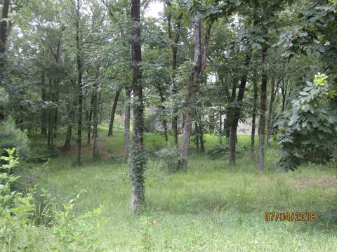 337 Springhill Dr, Terry, MS 39170 photo 8