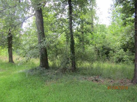 337 Springhill Dr, Terry, MS 39170 photo 12