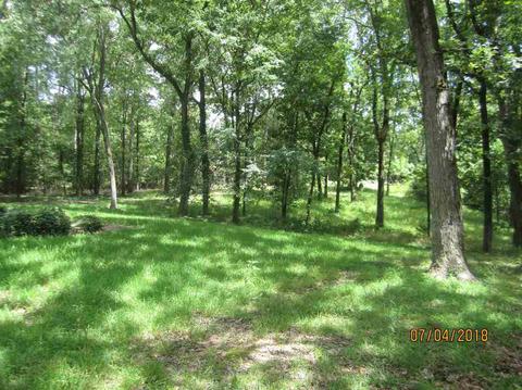 337 Springhill Dr, Terry, MS 39170 photo 14