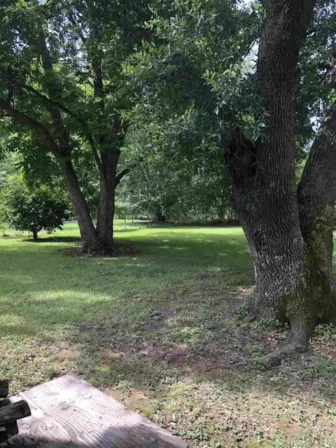 6517 Trace Dr, Jackson, MS 39213 photo 26