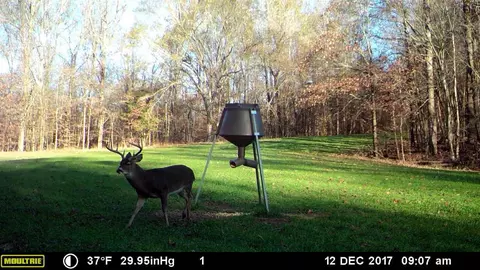 1187 Cox Ferry Rd, Bentonia, MS 39040 photo 35
